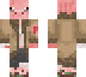 homeless pig