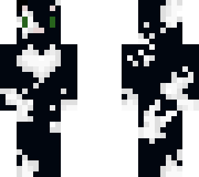 + black cat + '-'
