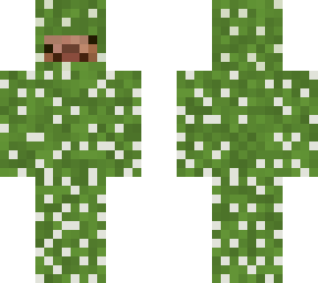 cactus steve