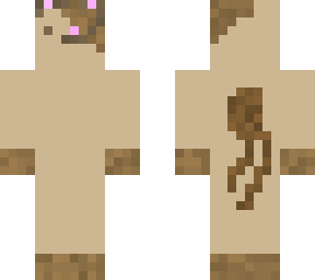 cat skin