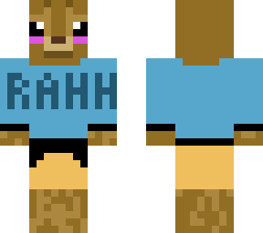 dandijs