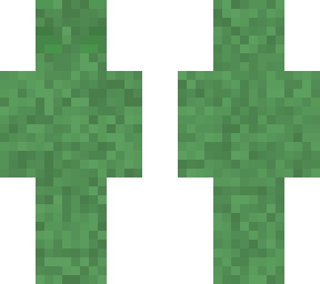 fern