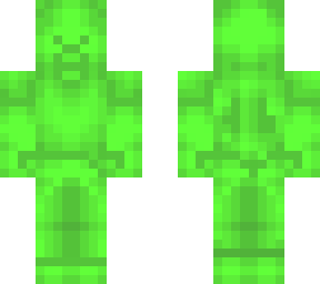 kiwi steve