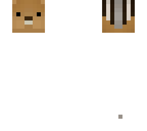 chimpmunk pet