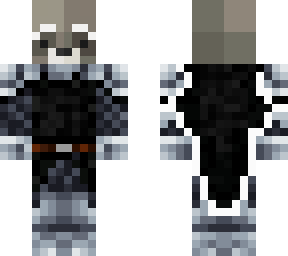 racoon knight
