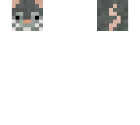 rat pet