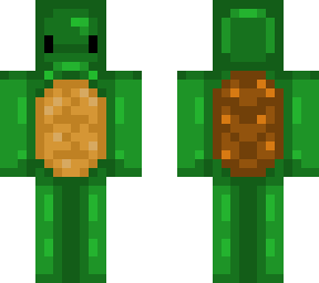 turtle