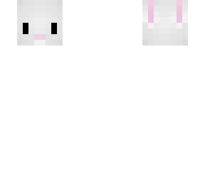 bunny pet