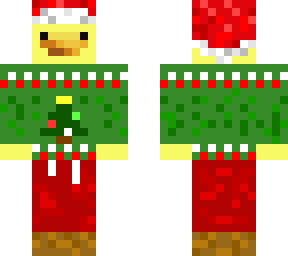 cozy winter duck