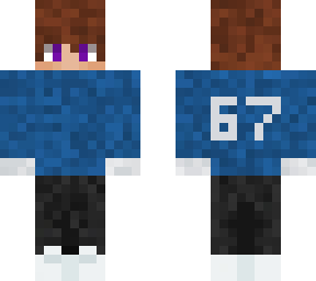 bee blue 67