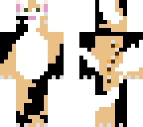 calico cat