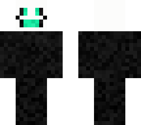 the pursuer