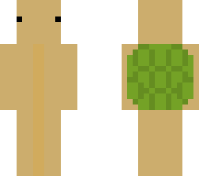 timmy turtle
