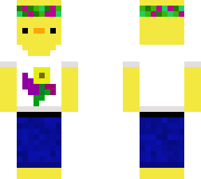 spring duck