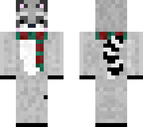 racoon for aakiran
