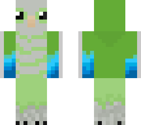 monk parakeet
