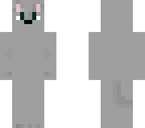 gray cat 1