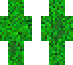 creeper enredadera
