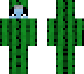 botella cactus