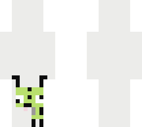 gir irl