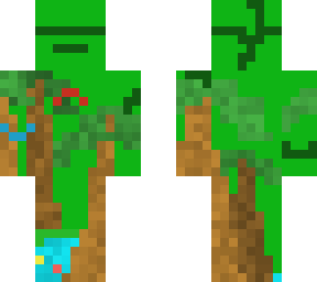 rainforest