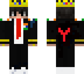 admin skin