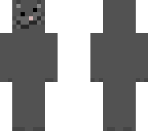 cat :3