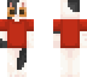 spencer the cat
