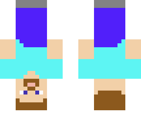 upside down steve