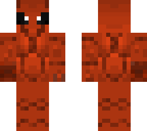 antwildcat13