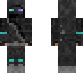 cyber ninja