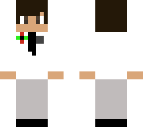 ham (zsmhi disguise)