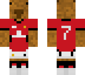 manchester united capybara
