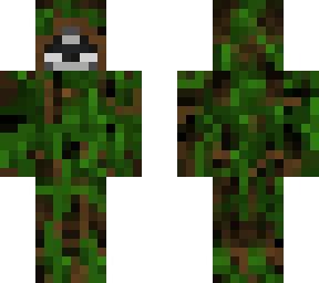 racoon wizard