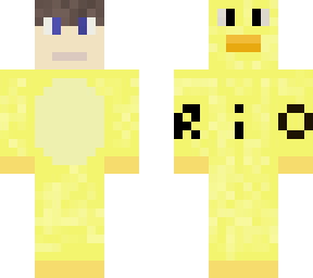 a duck