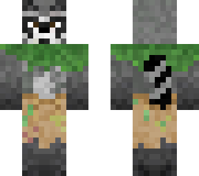 raccoon wizard