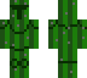 cactus knight