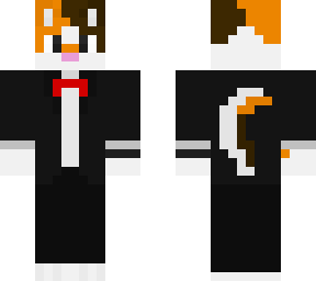 calico cat formal and stuff