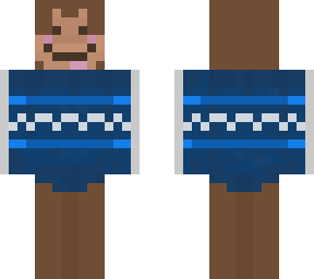 monkey in sweater