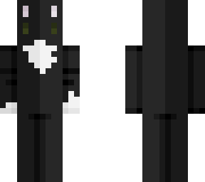 tuxedo cat