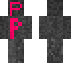 paigetech