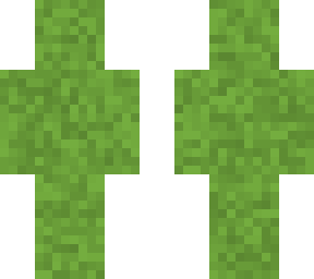 grass