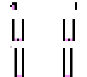 the cat