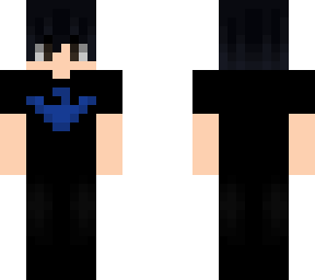 nightwing boy