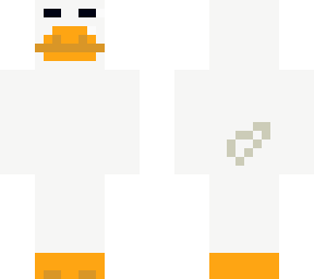 this duck is correct, do not wear