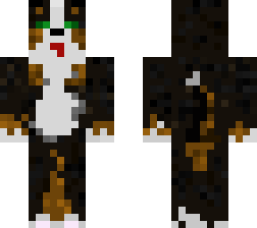 mountain bernes dog