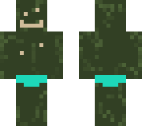cacti speedo