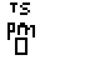ts pmo