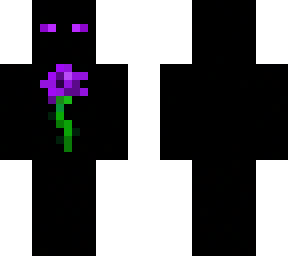purple rose (kb2a)
