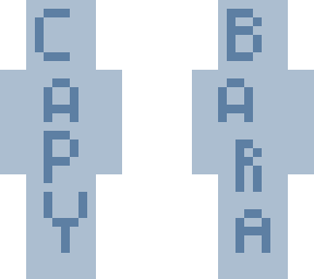 + . c a p y b a r a . + . c l u b . +
